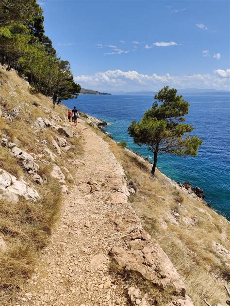 osejava forest park|Visit Forest park Osejava in Makarska 